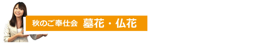 墓花_仏花