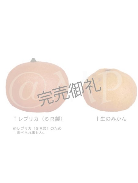 画像3: みかん (3)