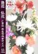 画像1: ご家庭お仏壇向き-中型造花仏花 ２束セット (1)