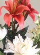 画像3: ご家庭お仏壇向き-中型造花仏花 ２束セット (3)