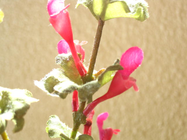 造花　仏花・墓花用　ホトケノザ