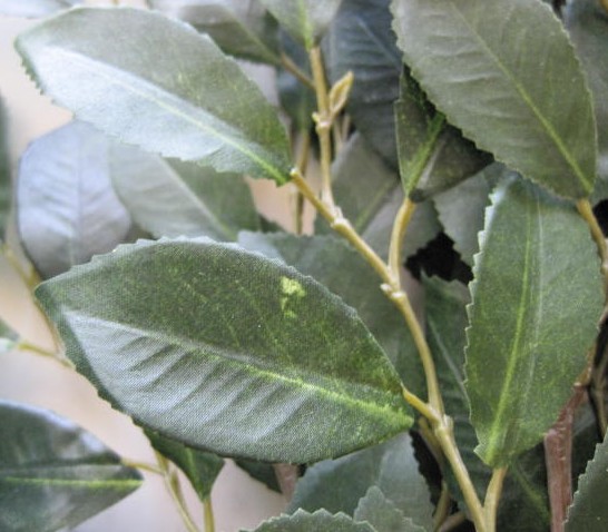 造花（シルクフラワー）　ラスカス　葉