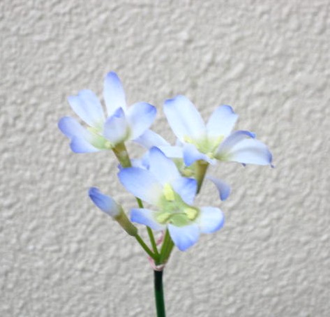 リューココリネ　造花（シルクフラワー）　造花専門店Hanaco（はなこ）　仏花・墓花・お供え・榊・ひさかき用
